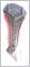 Ladies APEX Legacy (Pink) Driver Head Cover
