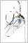 Pro Stand Bag (Grey)