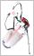 Challanger 2.0 Ultra Dry Stand Bag (Grey/White/Red)