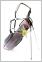 Cruiser 2.0 Rain Dry Stand Bag (Black/Charcoal/Red)